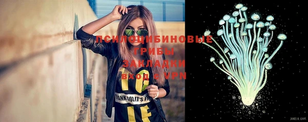 стаф Абдулино