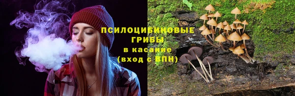 стаф Абдулино